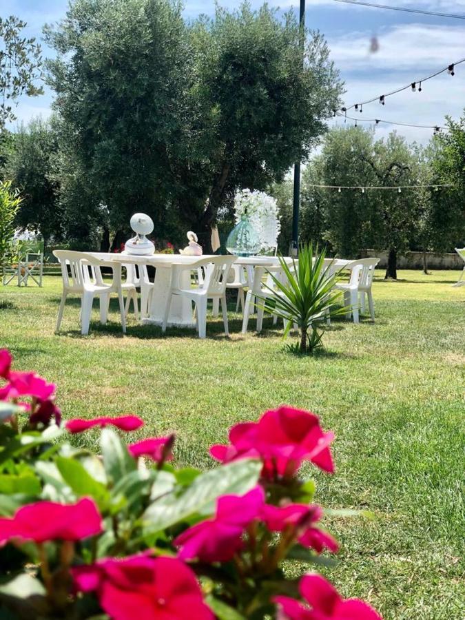 Pensione Degli Ulivi Porto SantʼElpidio Exterior foto