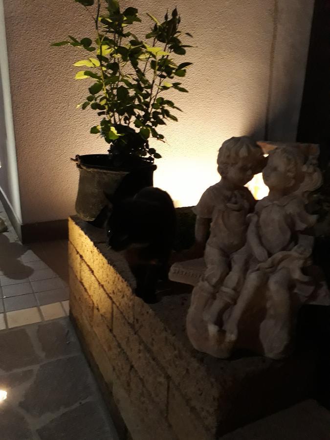 Pensione Degli Ulivi Porto SantʼElpidio Exterior foto